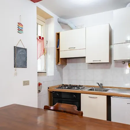 The Court Of The Moon * Barzio